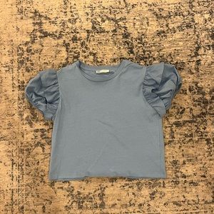 Zara Top with Puffy Sleeves